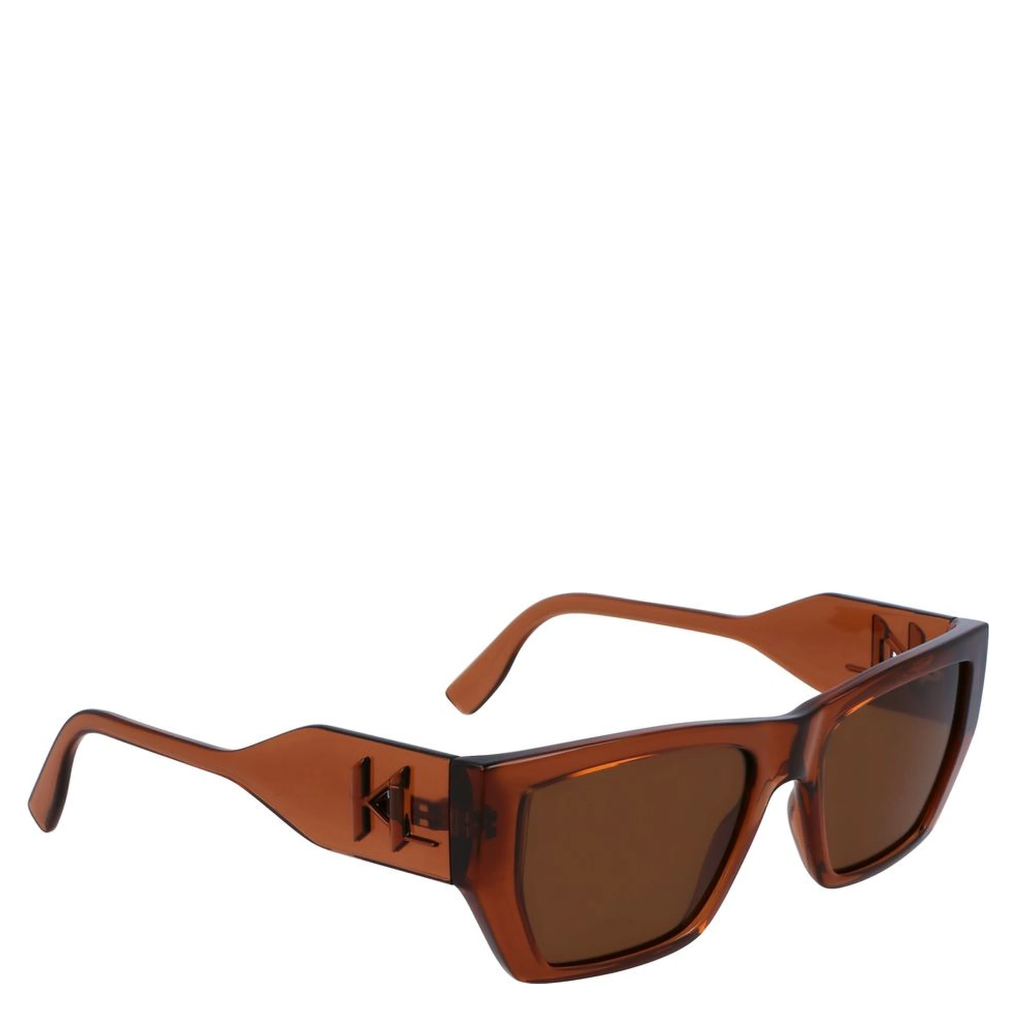Brown Injected Sunglasses