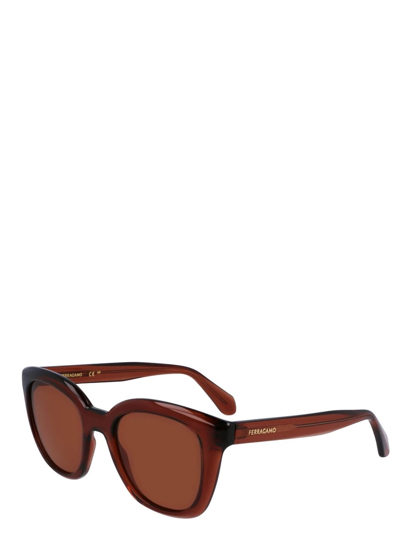 Brown Injected Sunglasses