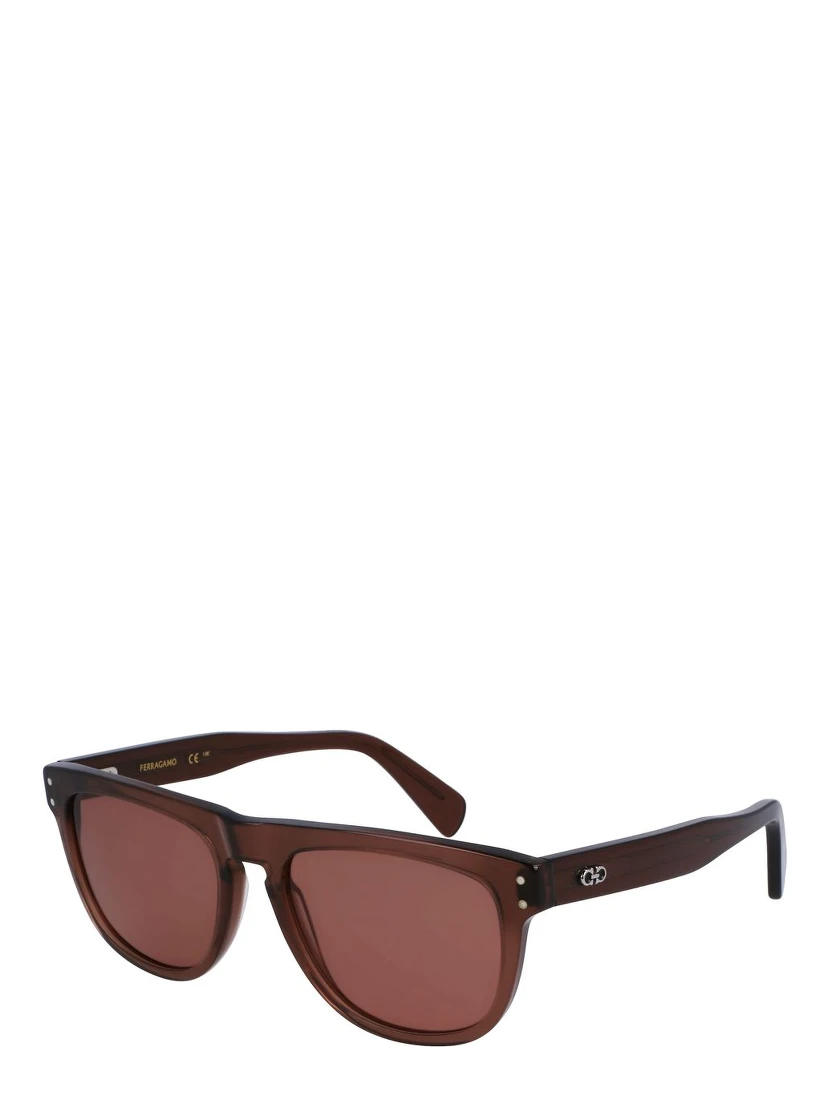 Brown Acetate Sunglasses