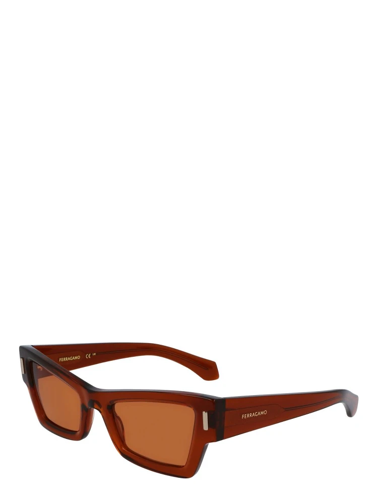 Brown Acetate Sunglasses