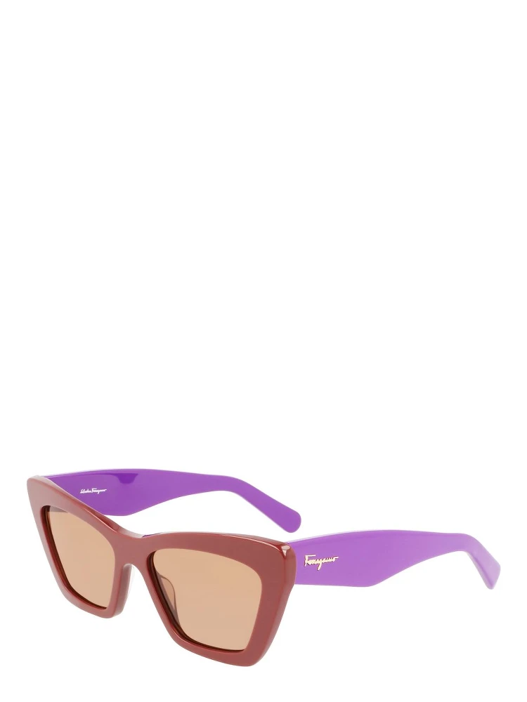Brown Acetate Sunglasses