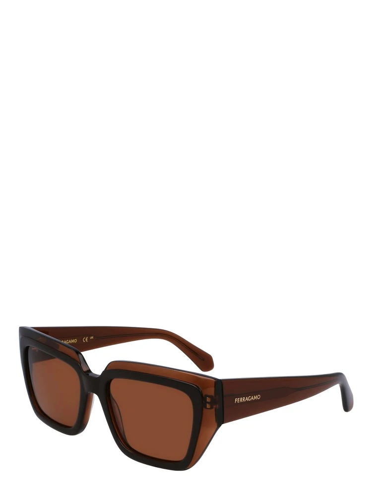 Brown Acetate Sunglasses