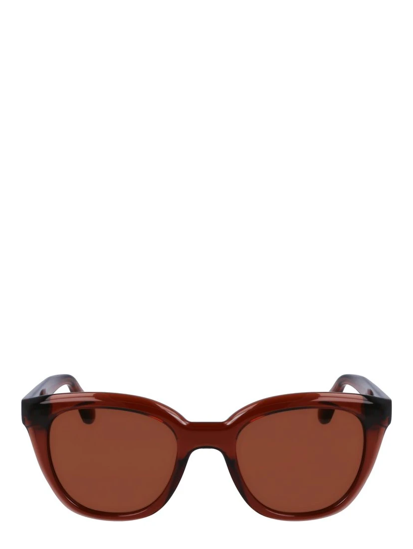 Brown Injected Sunglasses