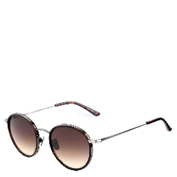 Brown Titanium Sunglasses