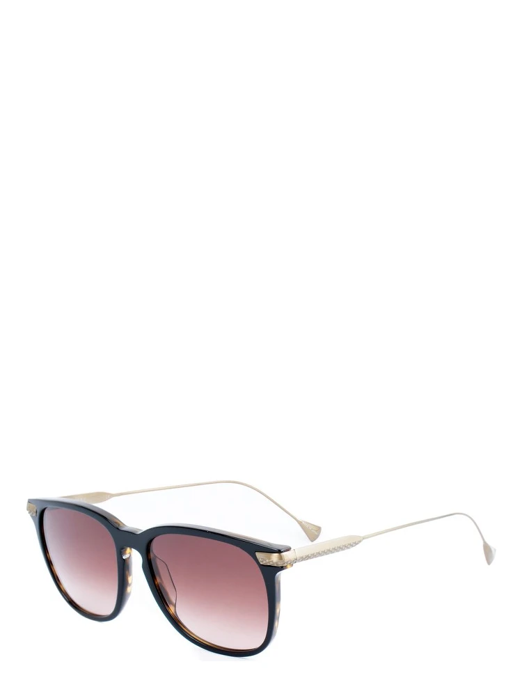 Brown Titanium Sunglasses