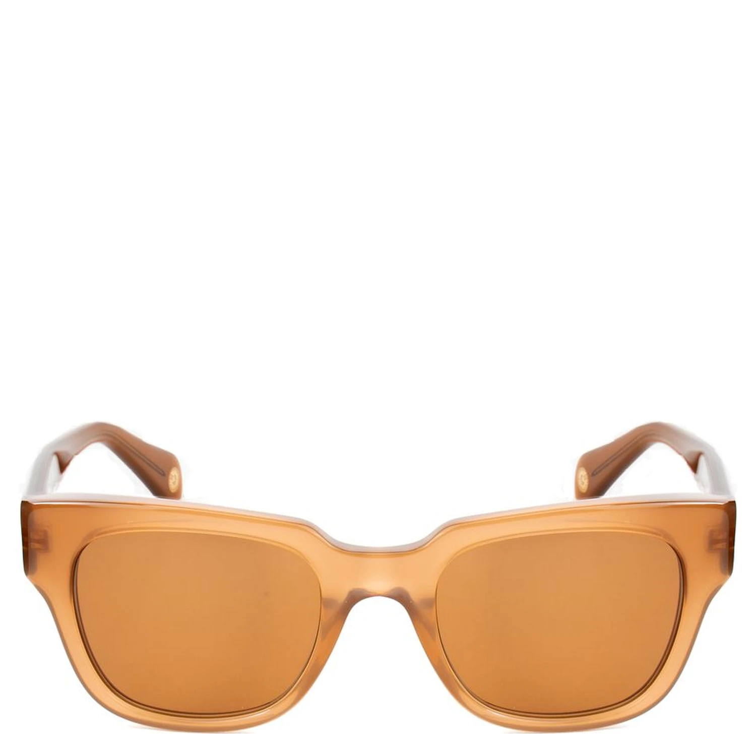 Brown Acetate Sunglasses