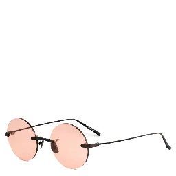 Black Titanium Sunglasses