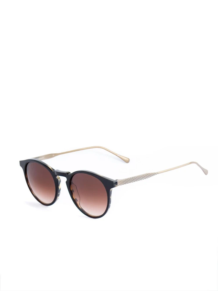 Brown Titanium Sunglasses