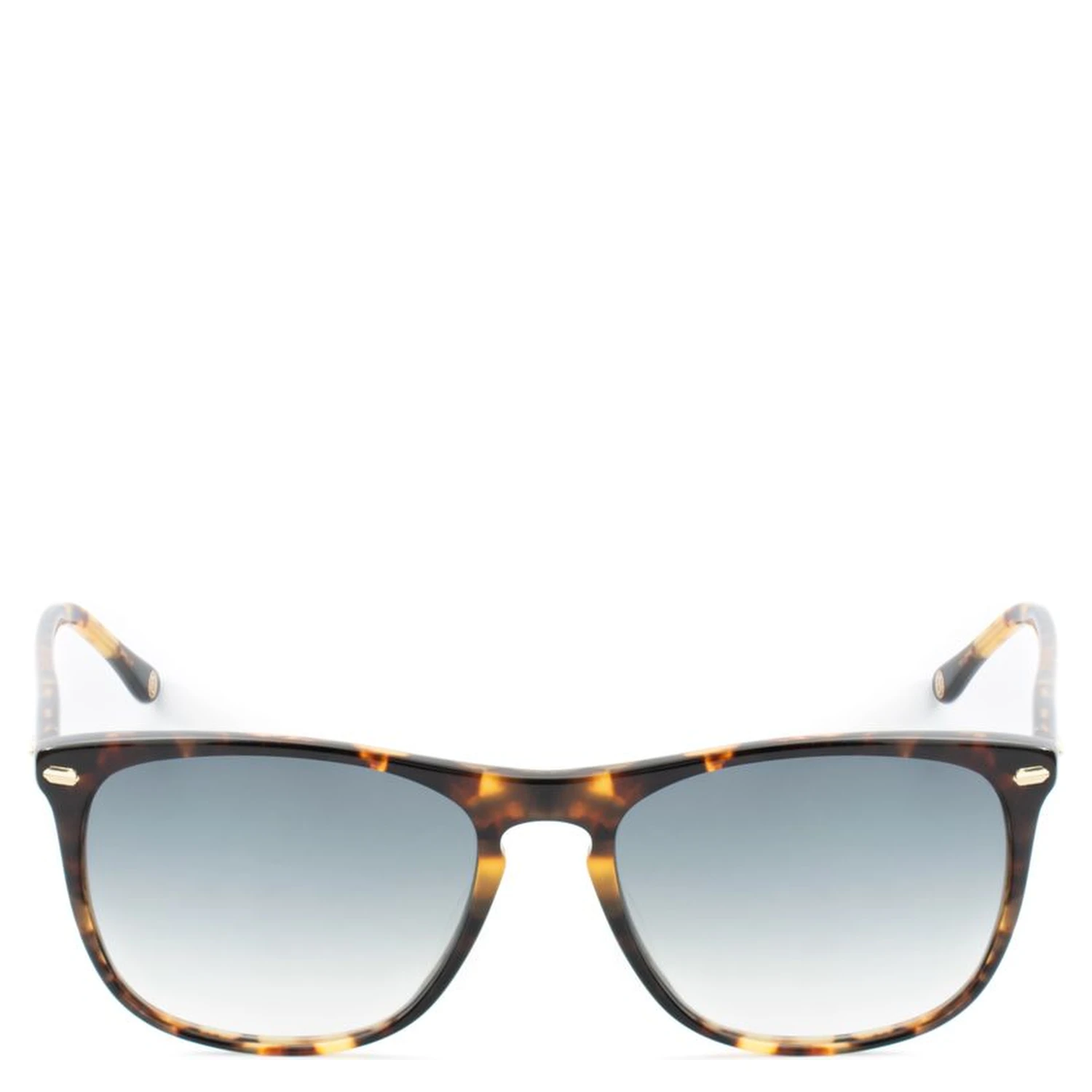 Brown Acetate Sunglasses