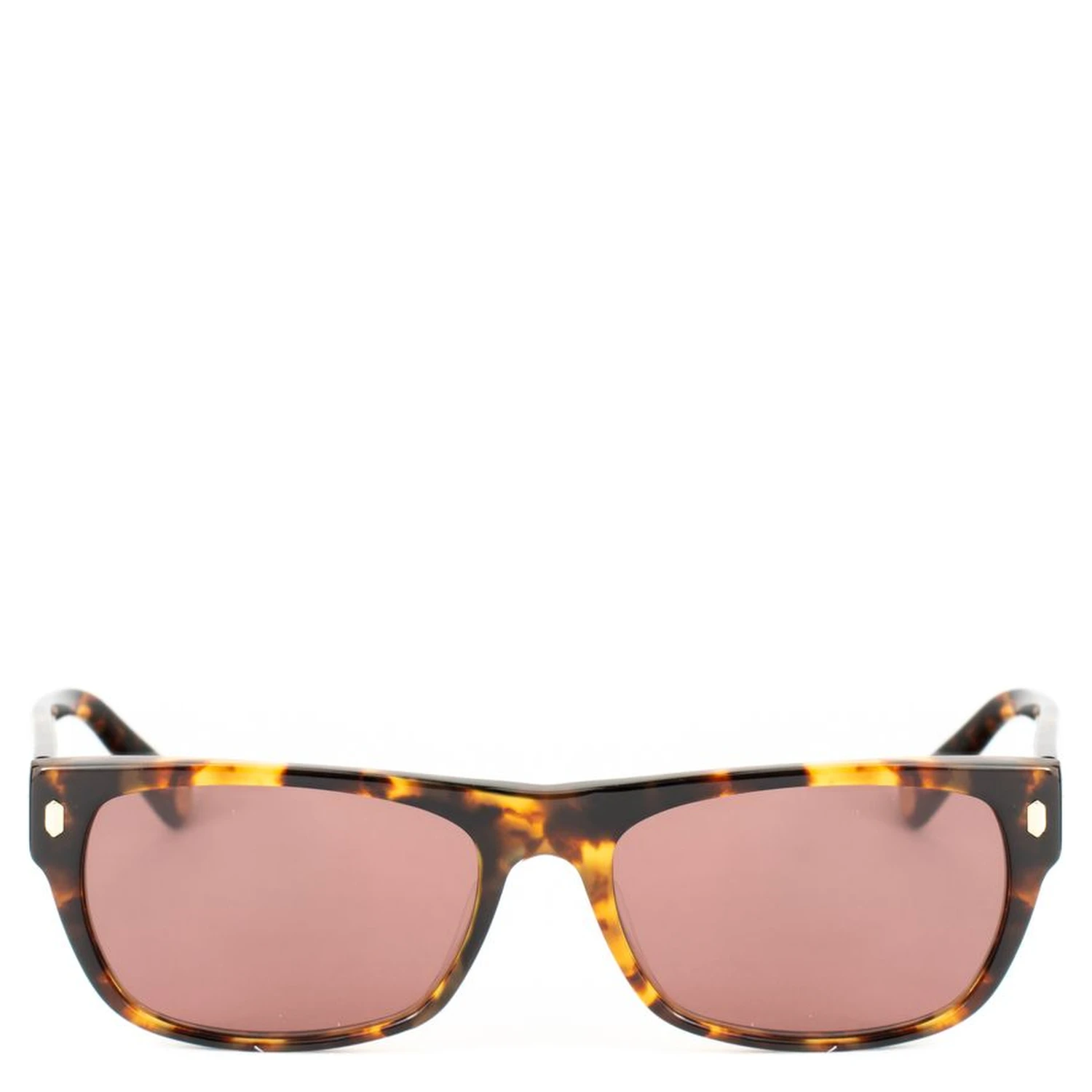 Brown Acetate Sunglasses