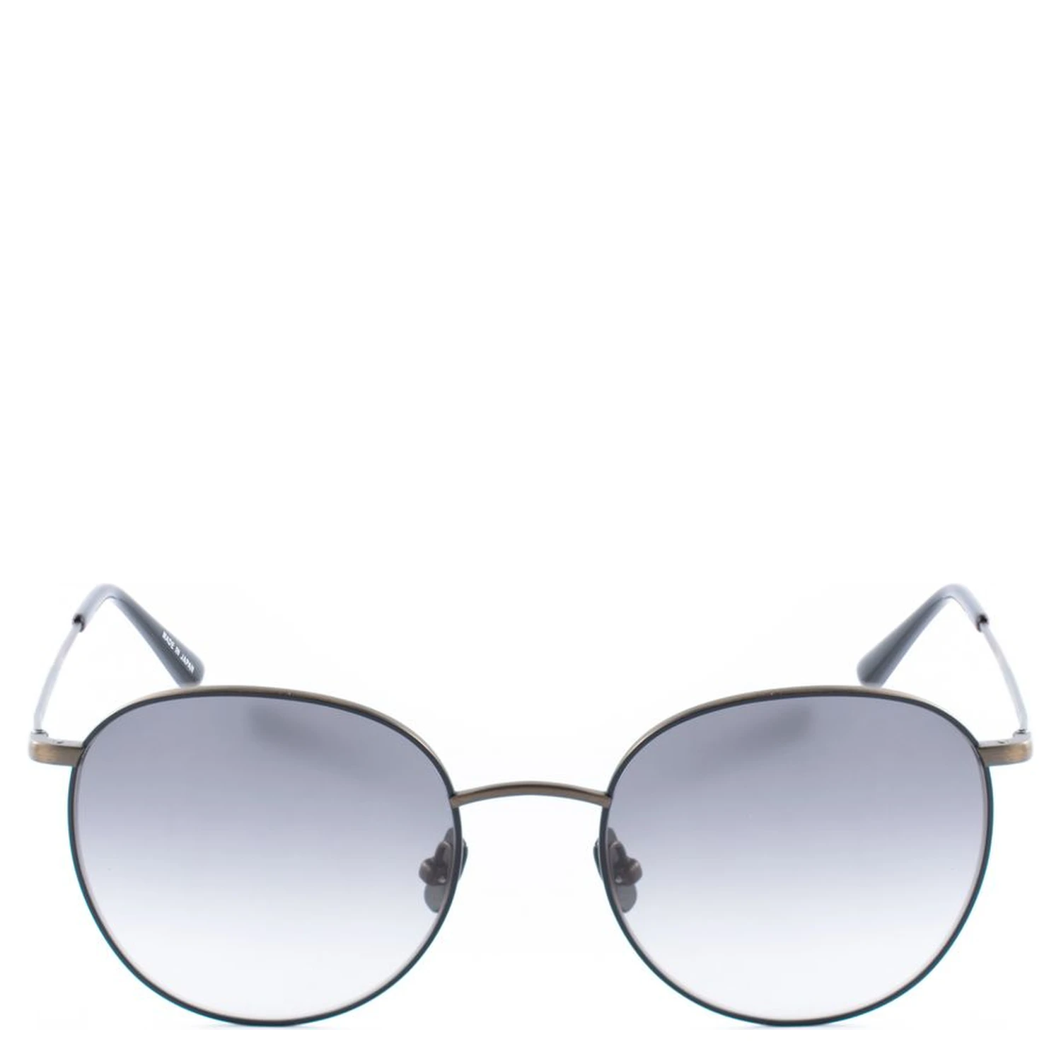 Brown Titanium Sunglasses