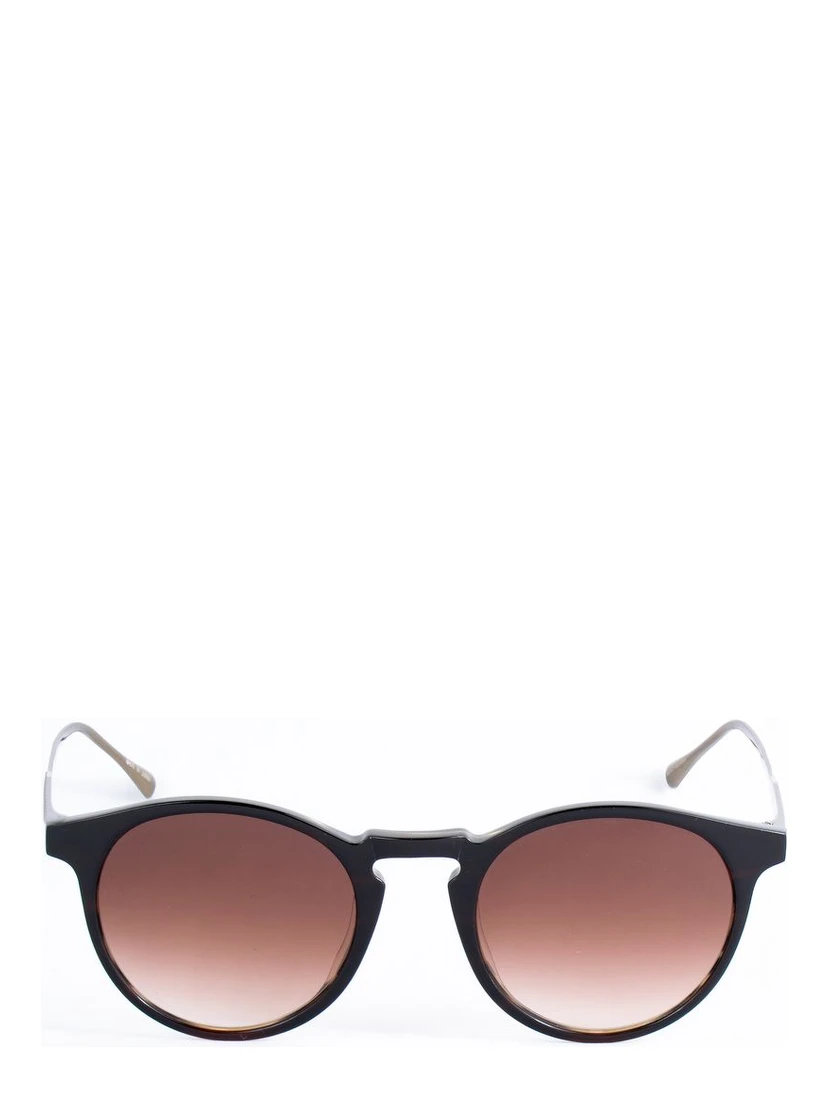 Brown Titanium Sunglasses
