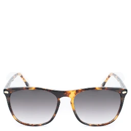 Brown Acetate Sunglasses