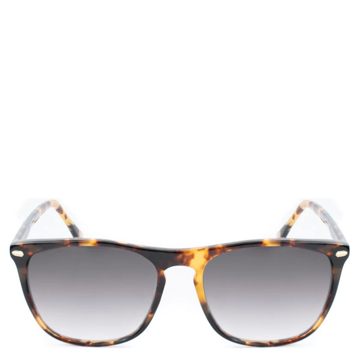Brown Acetate Sunglasses