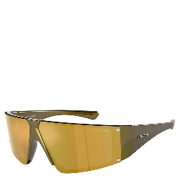 Gold Resin Sunglasses