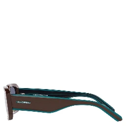 Brown Resin Sunglasses