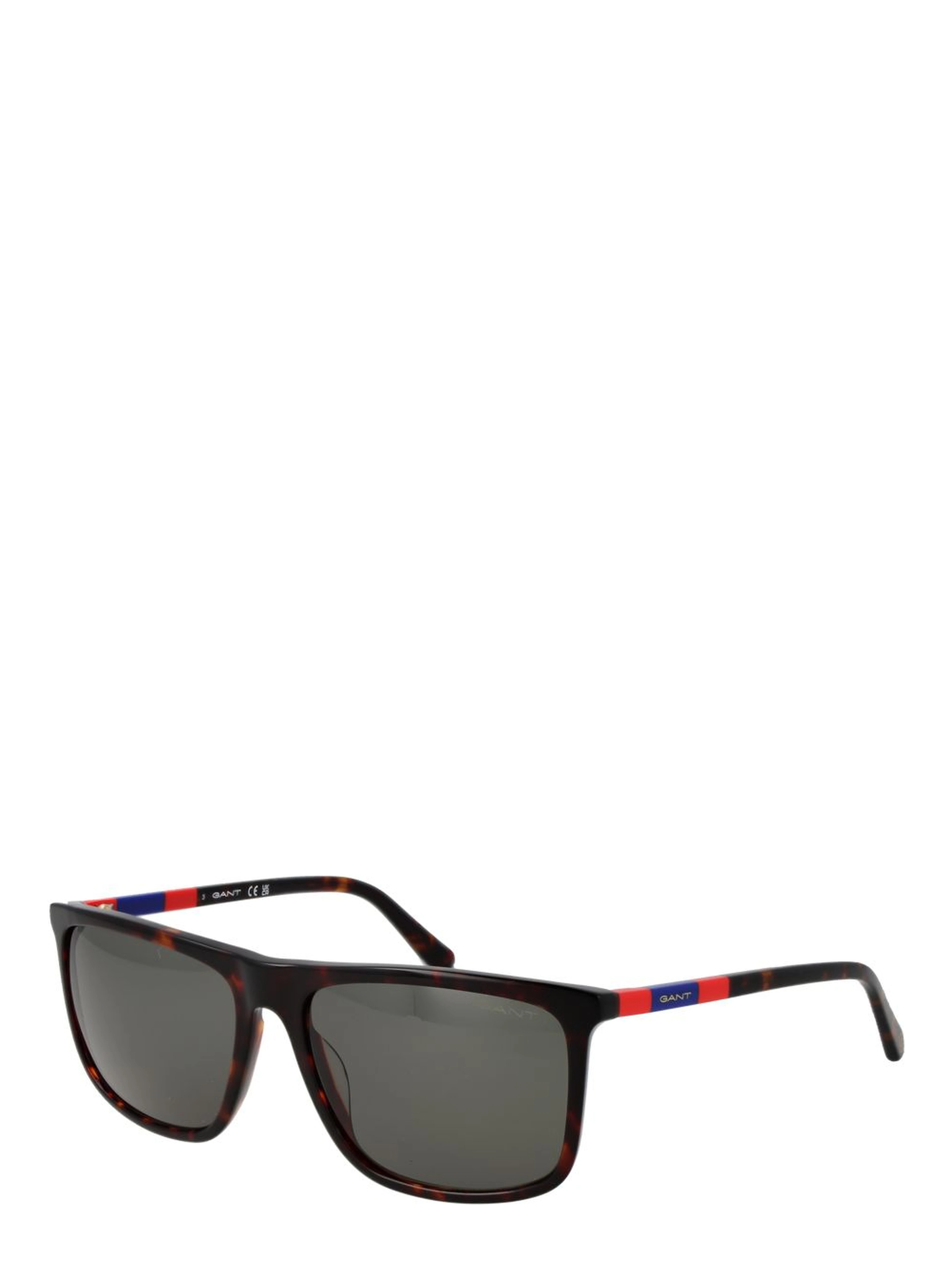 Brown Acetate Sunglasses