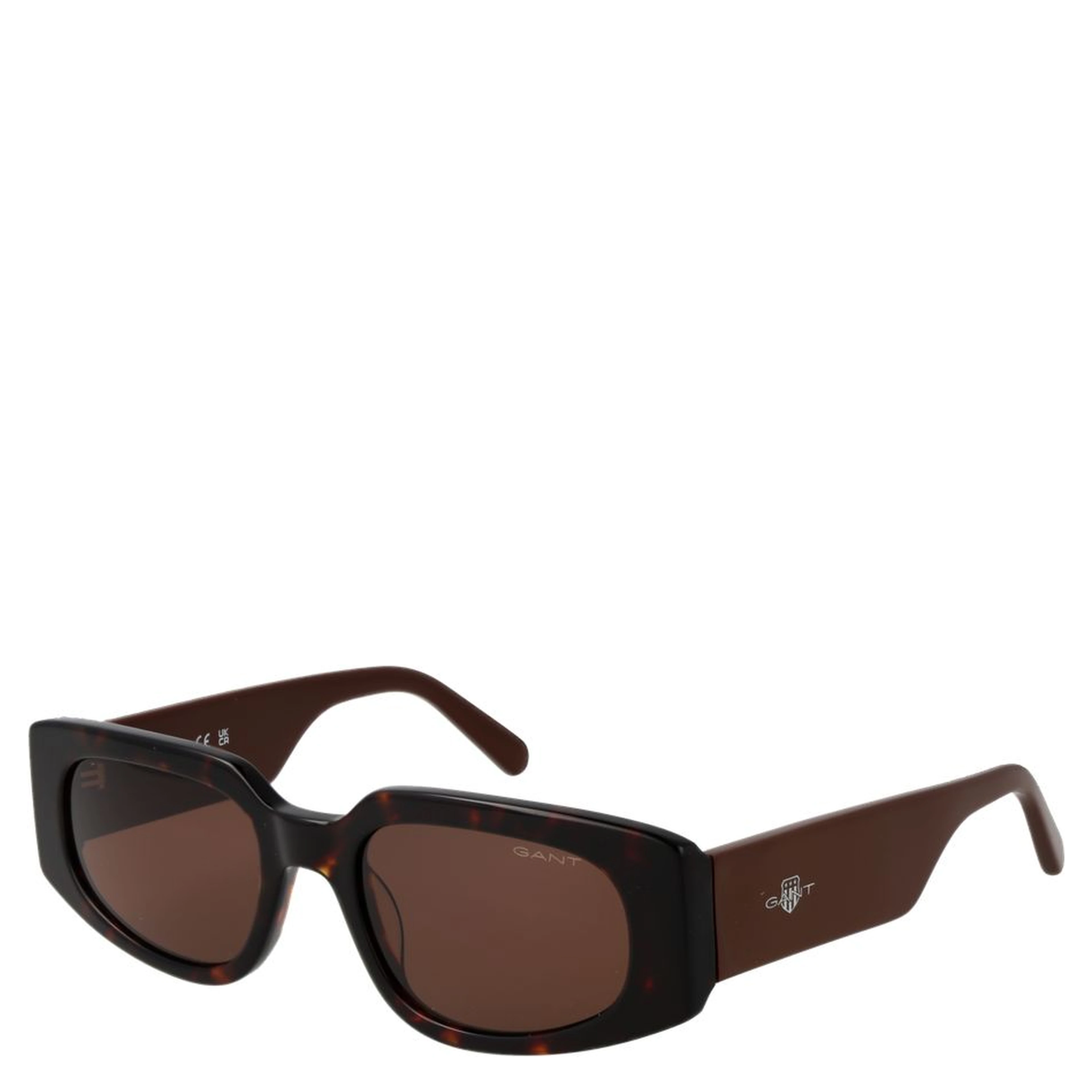 Brown Acetate Sunglasses