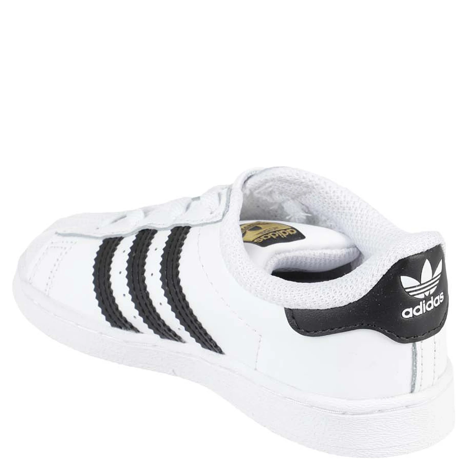 FU7717