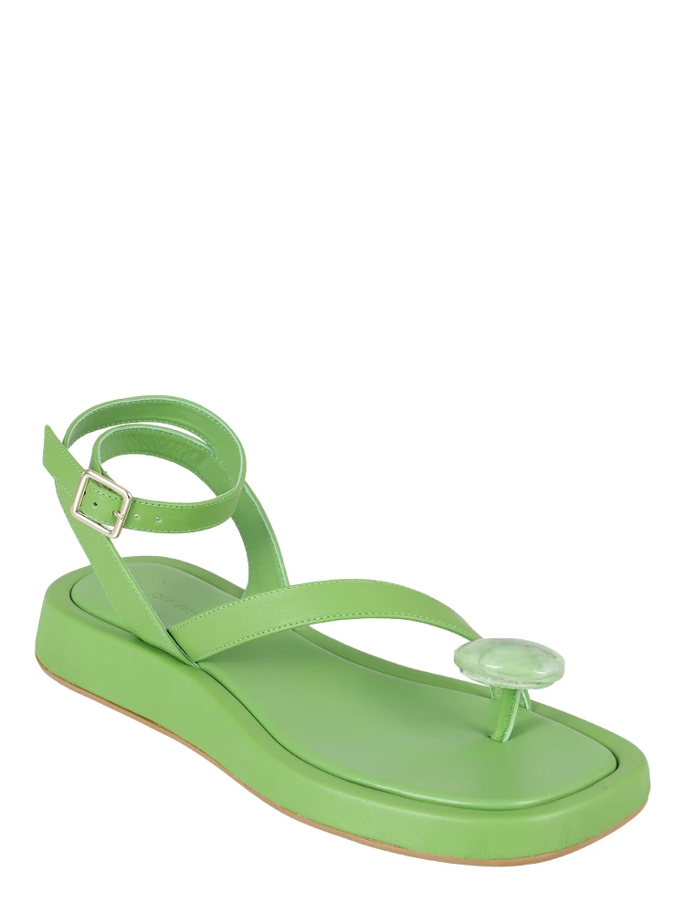 ROSIE 18 alternative