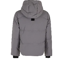 Padded Jacket With Hood