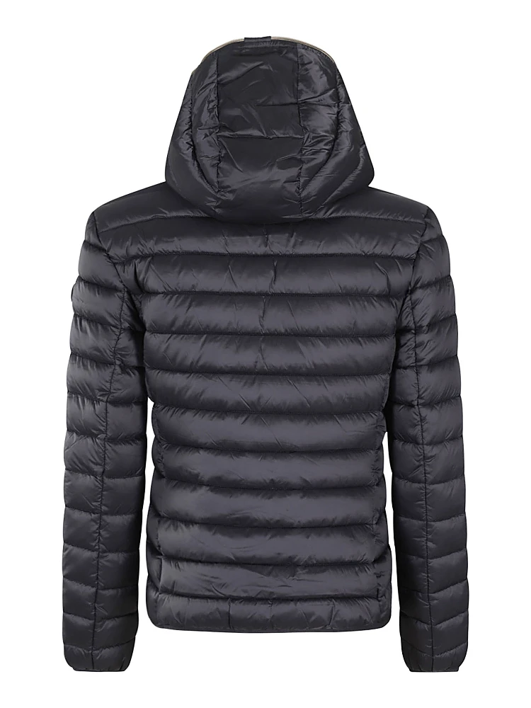 D33620W IRIS21|097 alternative