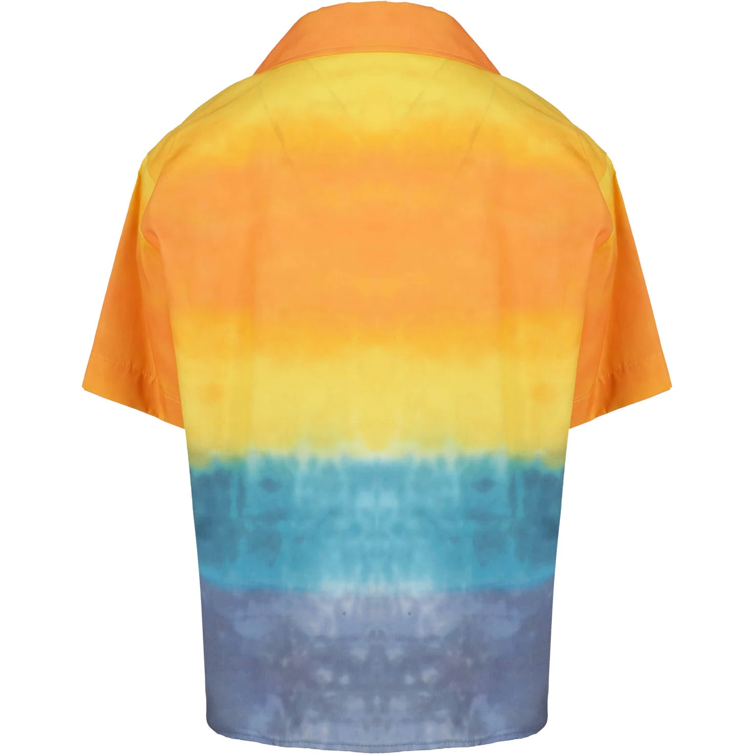 MS029531|092