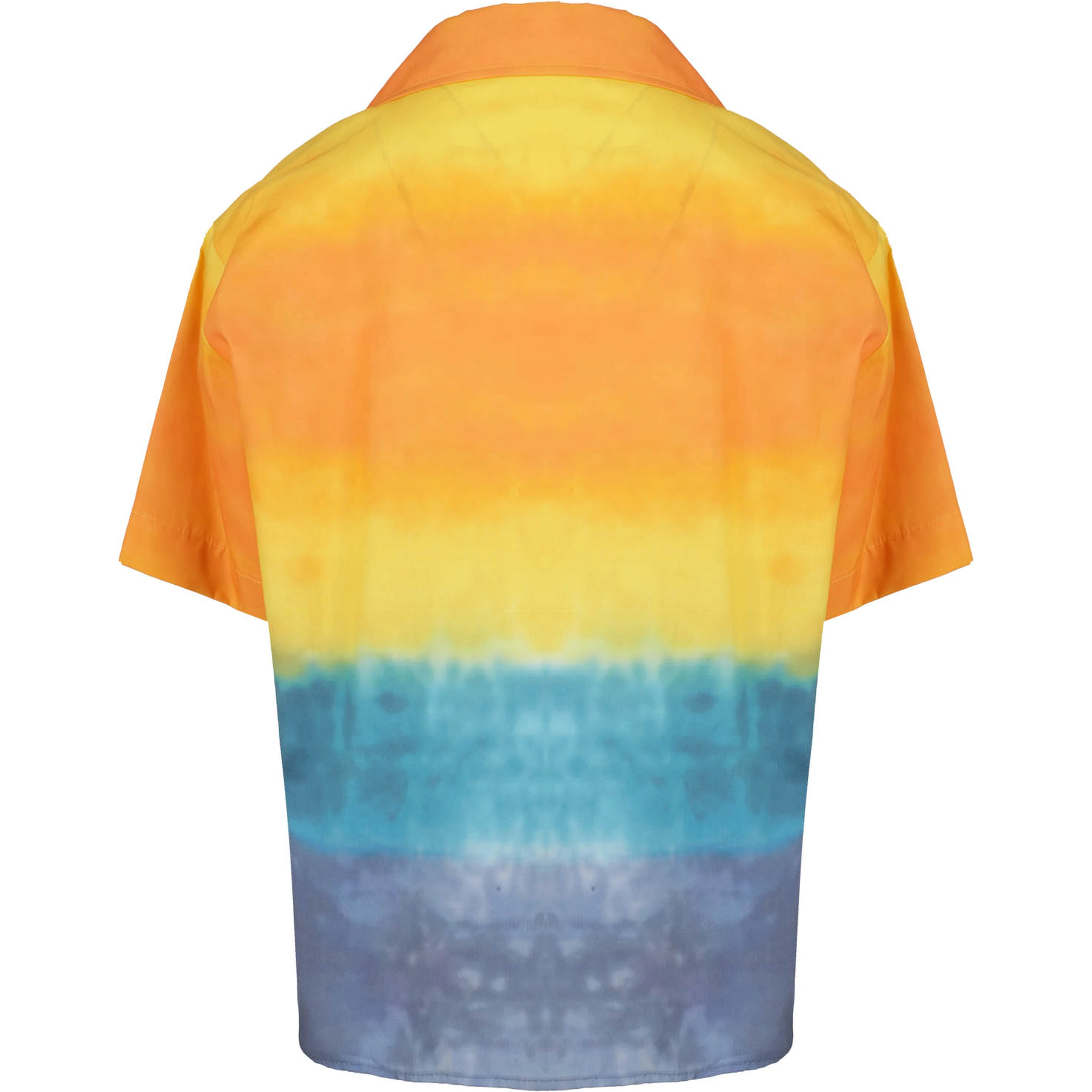 MS029531|092