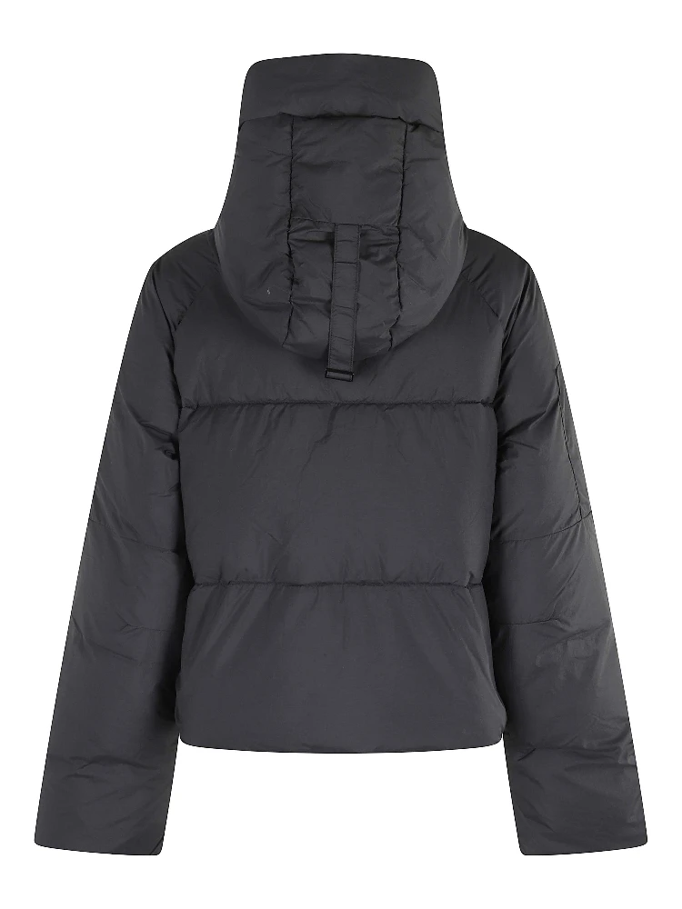 2088WT|097 alternative