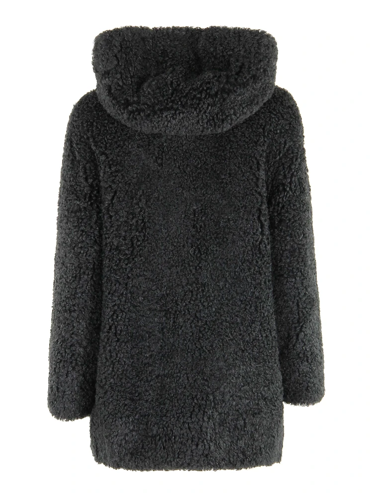 W25571|097 alternative