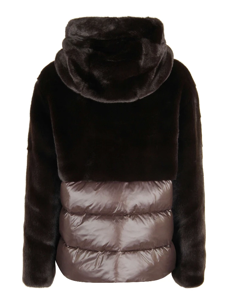 25WBLDC02178 006646|097 alternative