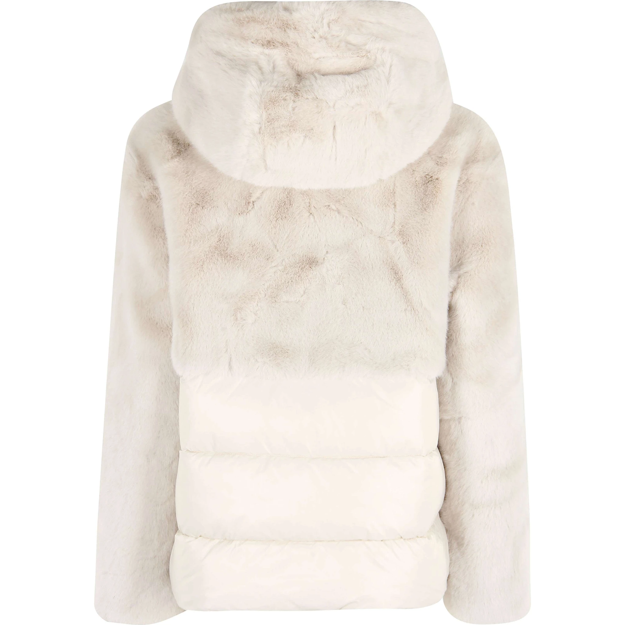 25WBLDC02178 006646|097