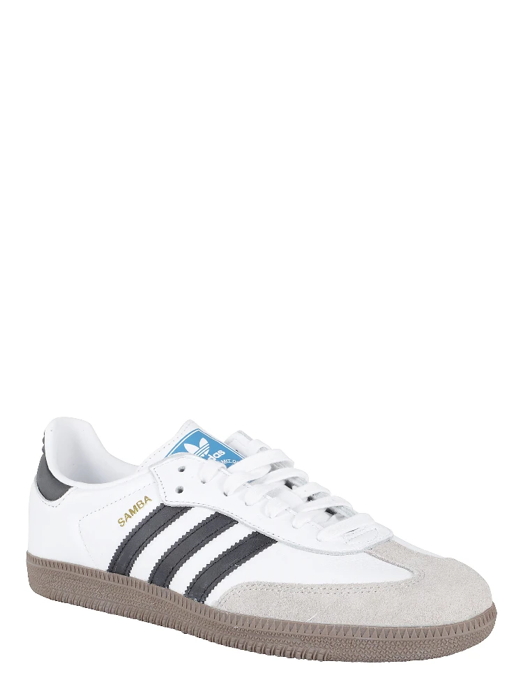 B75806|097 alternative