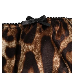 Brown Leopard Silk Mid Waist Panty Underwear