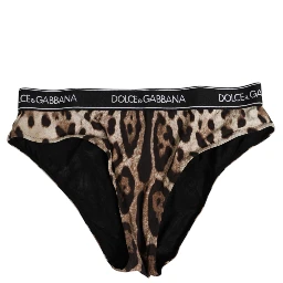 Brown Leopard Nylon High Waist Panty Underwear