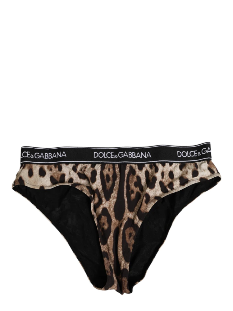 Brown Leopard Nylon High Waist Panty Underwear alternative