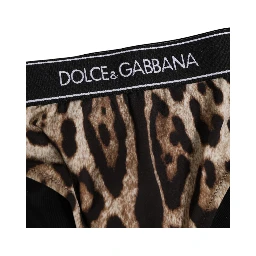 Brown Leopard Nylon High Waist Panty Underwear