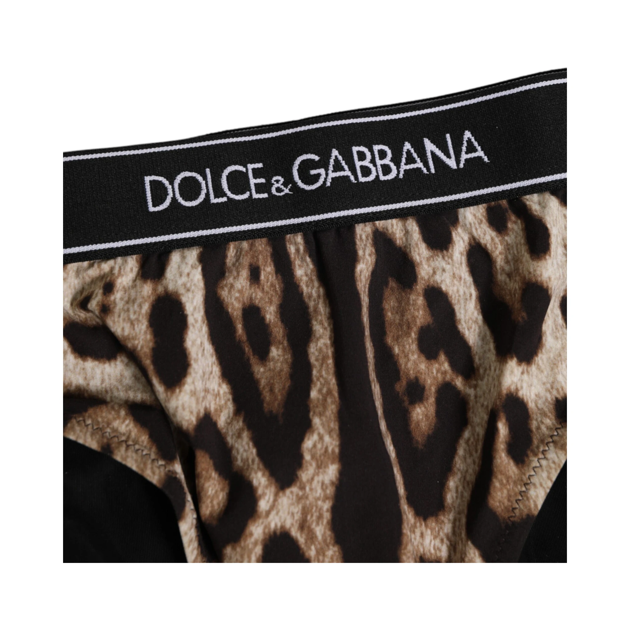 Brown Leopard Nylon High Waist Panty Underwear
