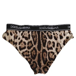 Brown Leopard Nylon High Waist Panty Underwear