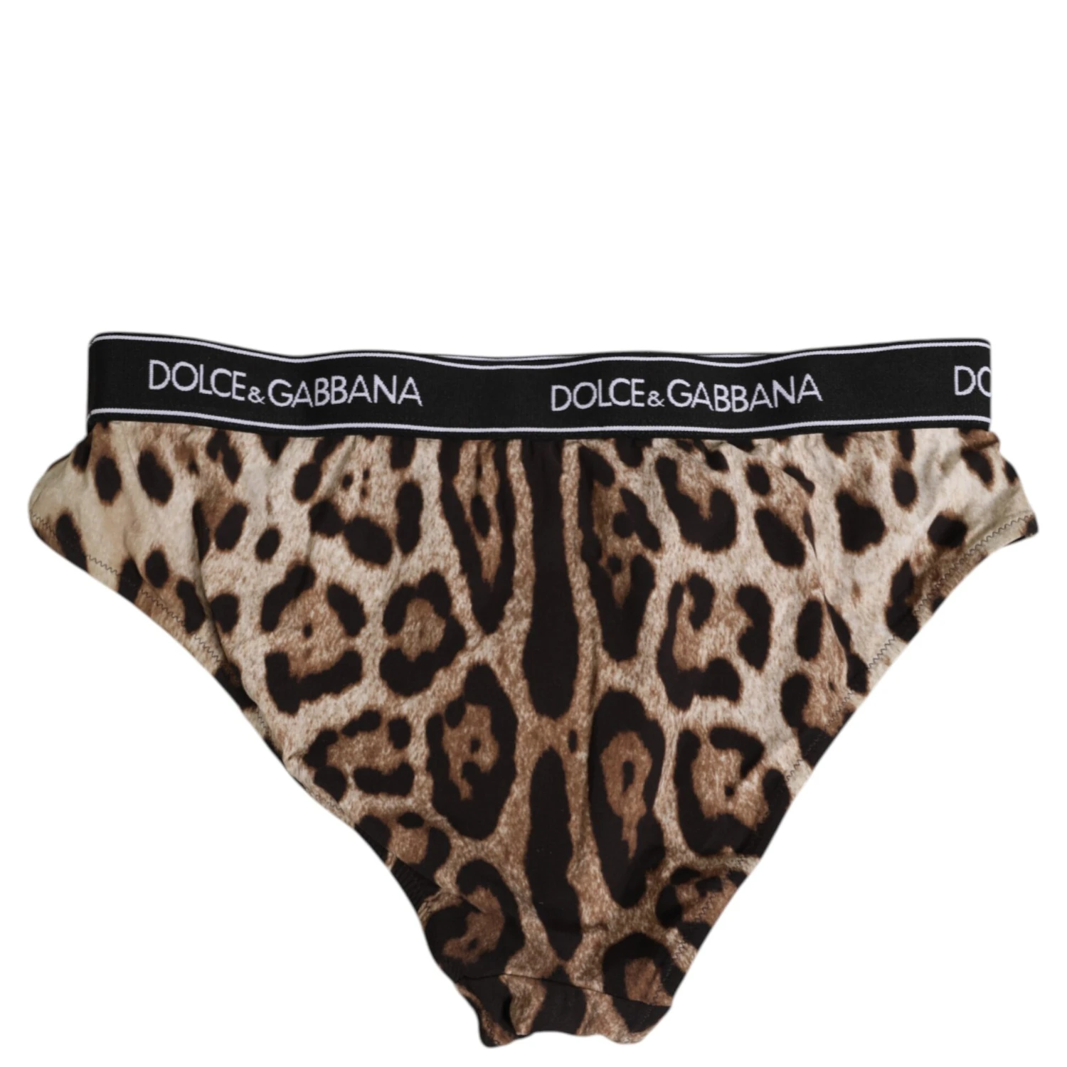Brown Leopard Nylon High Waist Panty Underwear