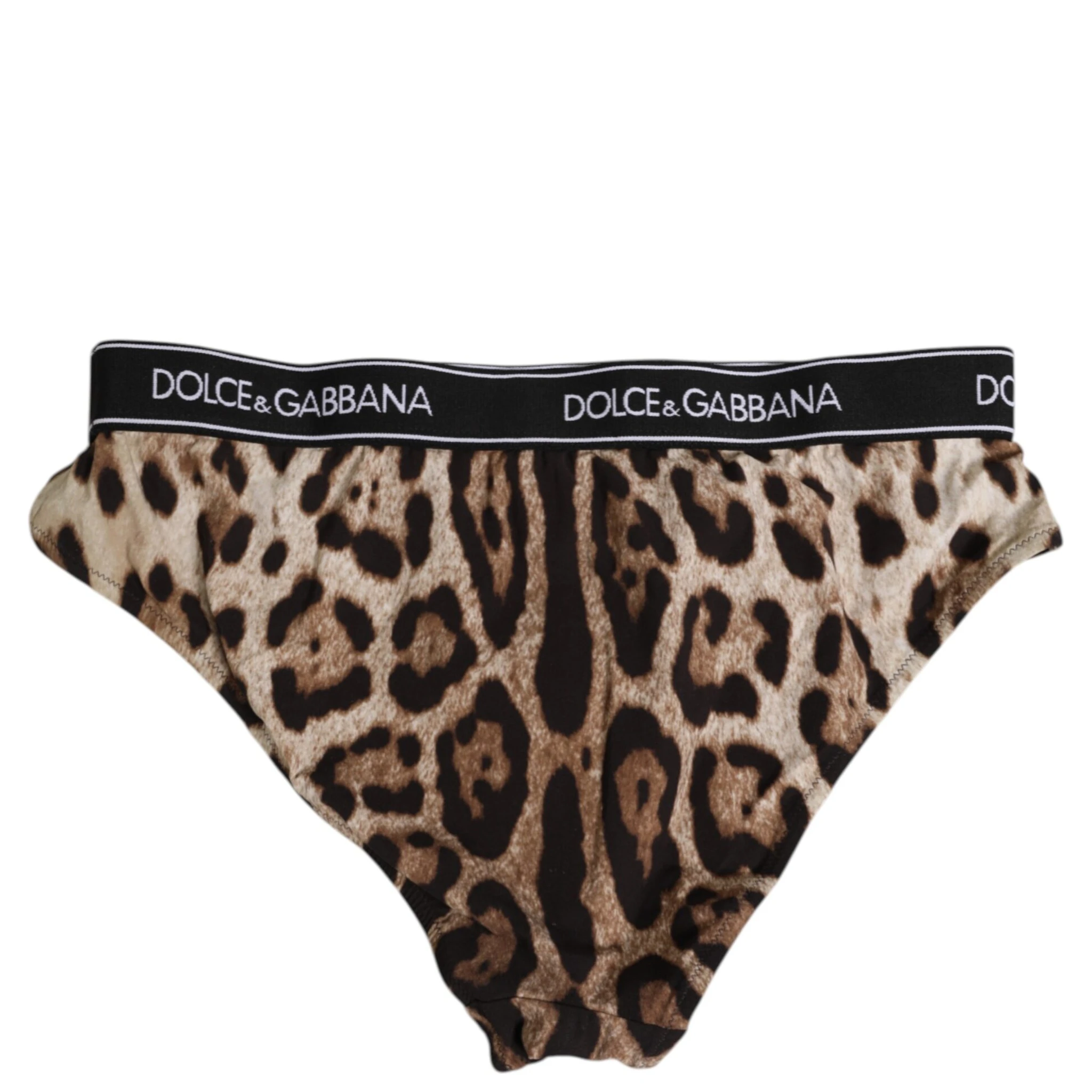 Brown Leopard Nylon High Waist Panty Underwear
