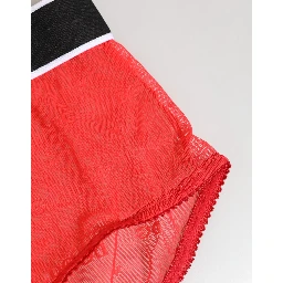 Red Nylon Logo Waistband Brief Panty Underwear