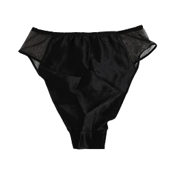 Black Silk Stretch High Waist Panty Underwear
