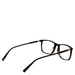 Brown Plastic Glasses (Frames)
