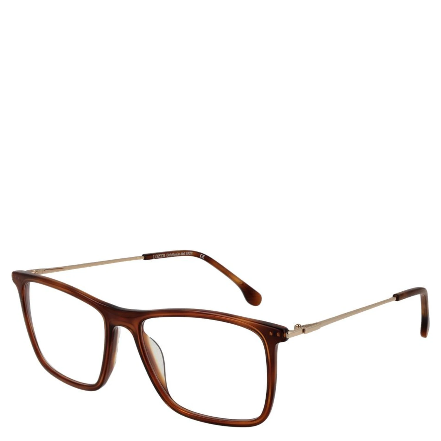 Brown Metal Glasses (Frames)