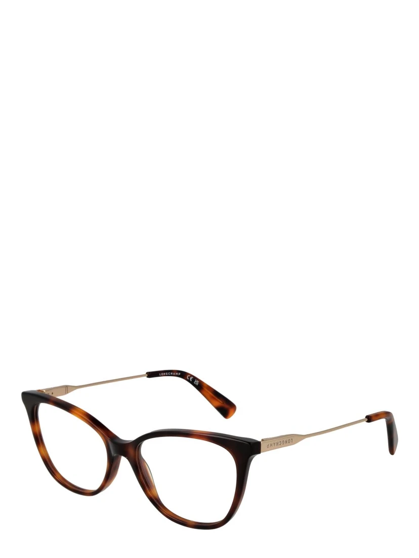 Brown Metal Glasses (Frames)