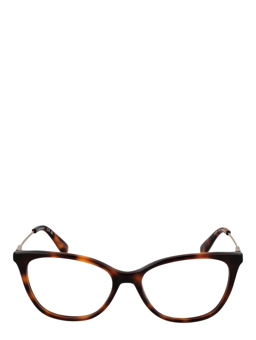 Brown Metal Glasses (Frames)