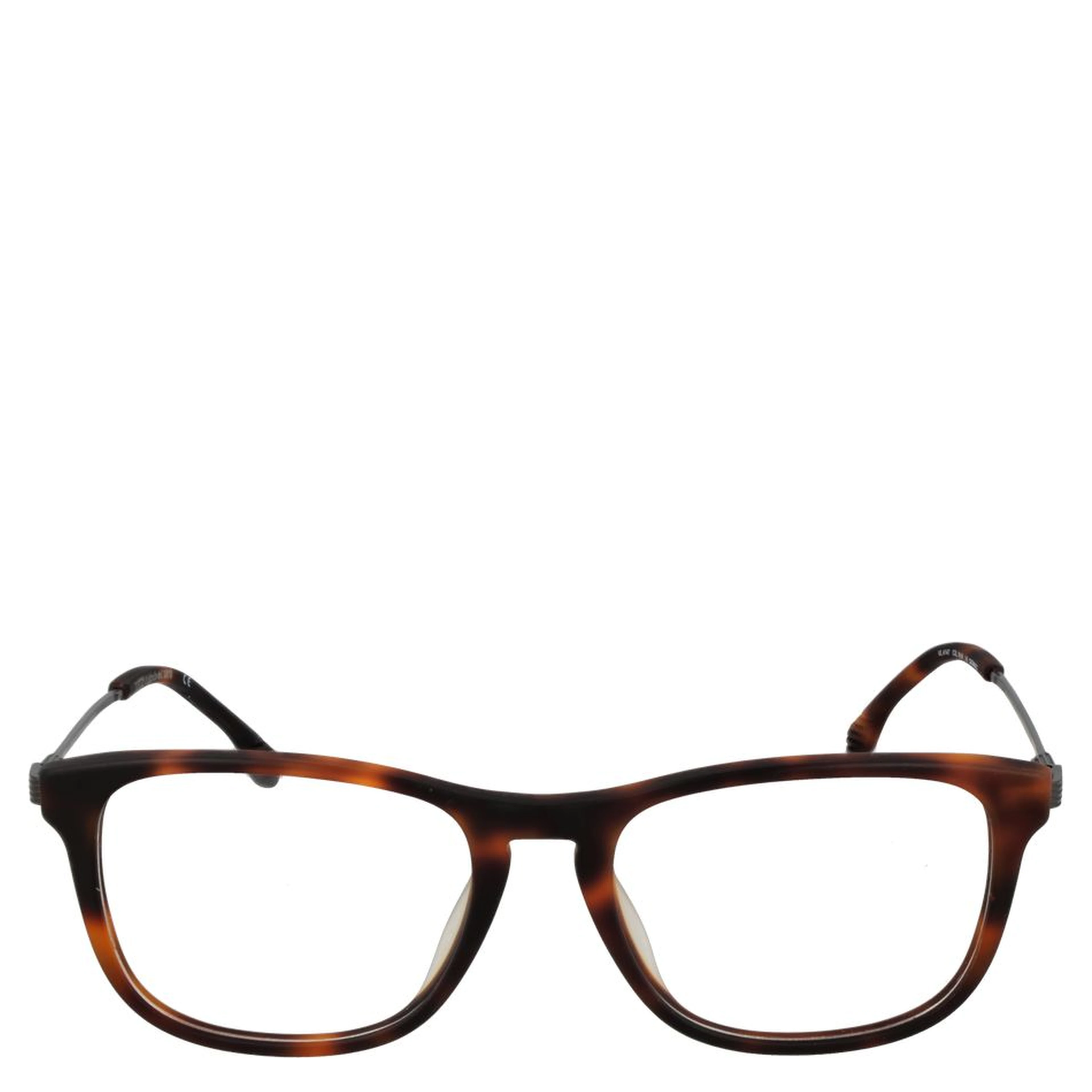 Brown Metal Glasses (Frames)