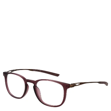Brown Titanium Glasses (Frames)