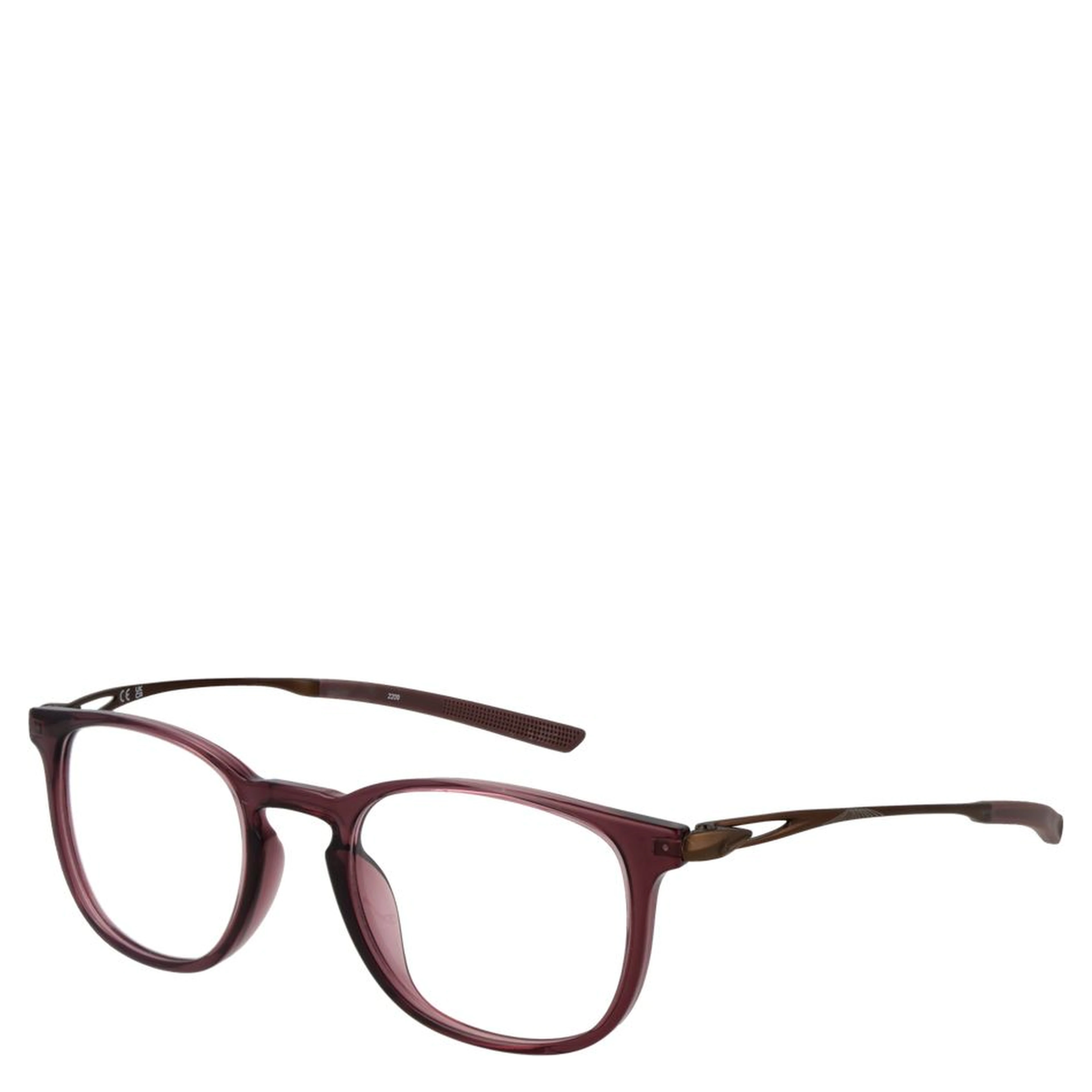 Brown Titanium Glasses (Frames)